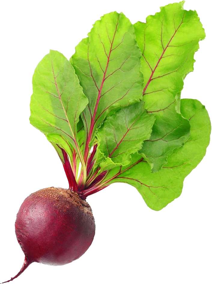 A Beet With Leaves On It