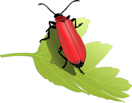 A Red Bug On A Green Leaf