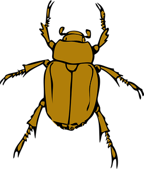 A Yellow Bug On A Black Background