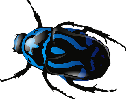 A Blue And Black Bug