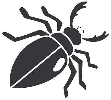 A Black And White Image Of A Bug
