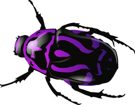 A Black And Purple Bug