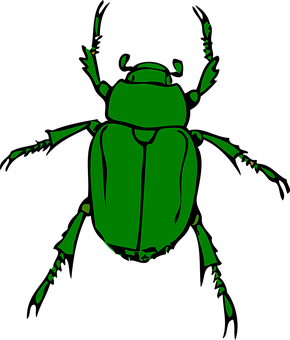 A Green Bug On A Black Background