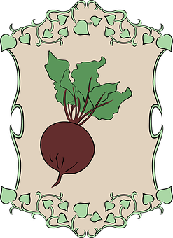 A Beet With Green Leaves