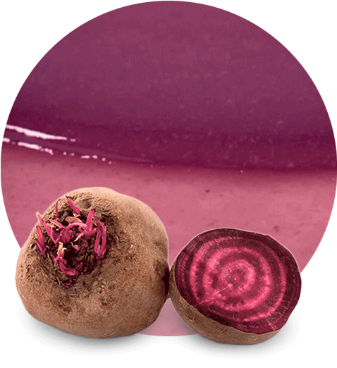 A Beet Root With A Cut In Half