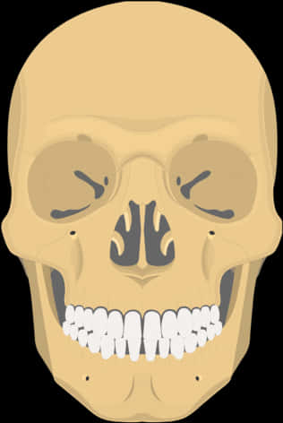 A Skull With Teeth And A Black Background