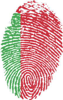 A Red And Green Fingerprint