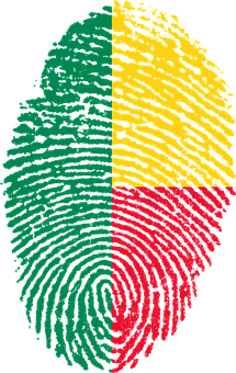 A Fingerprint With A Red Green And Yellow Flag