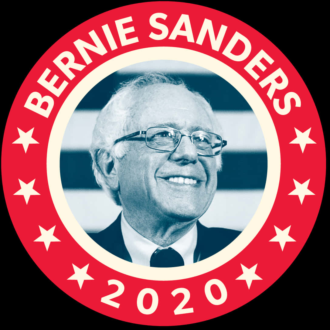 Bernie Sanders 2020 Button Pin