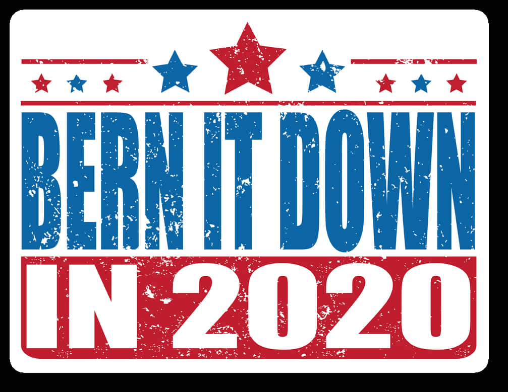 Bernie Sanders Bern It Down 2020