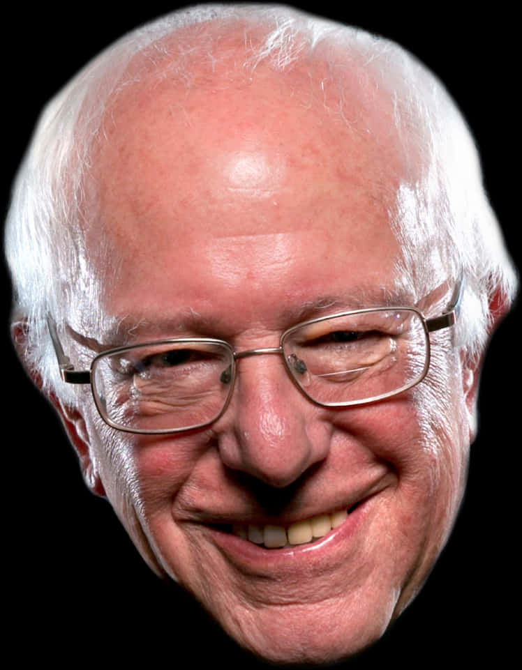 Bernie Sanders Grinning Head