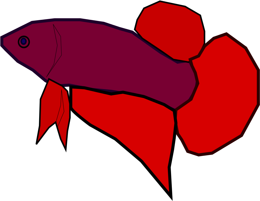 A Red And Purple Fish
