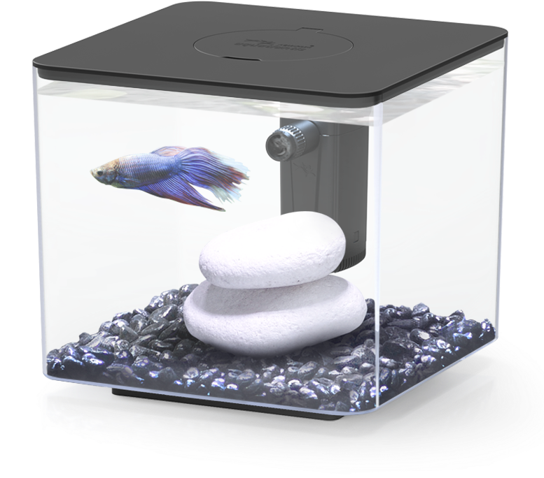 A Fish Tank With Rocks And A Fish In It