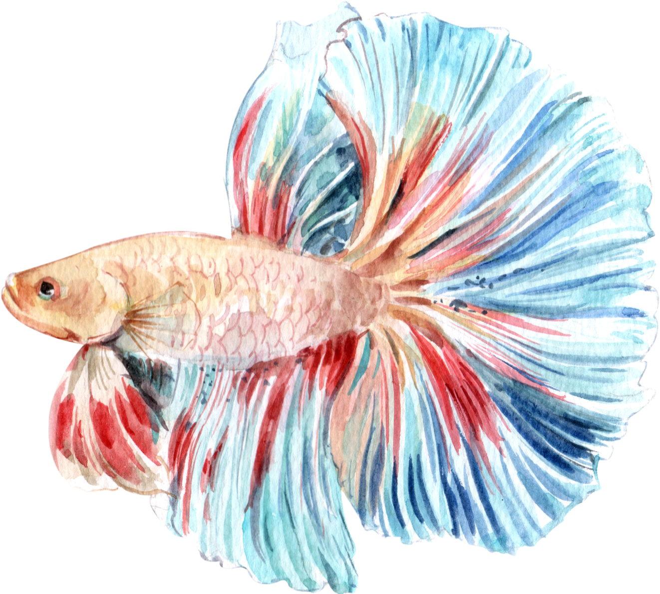 A Watercolor Of A Fish