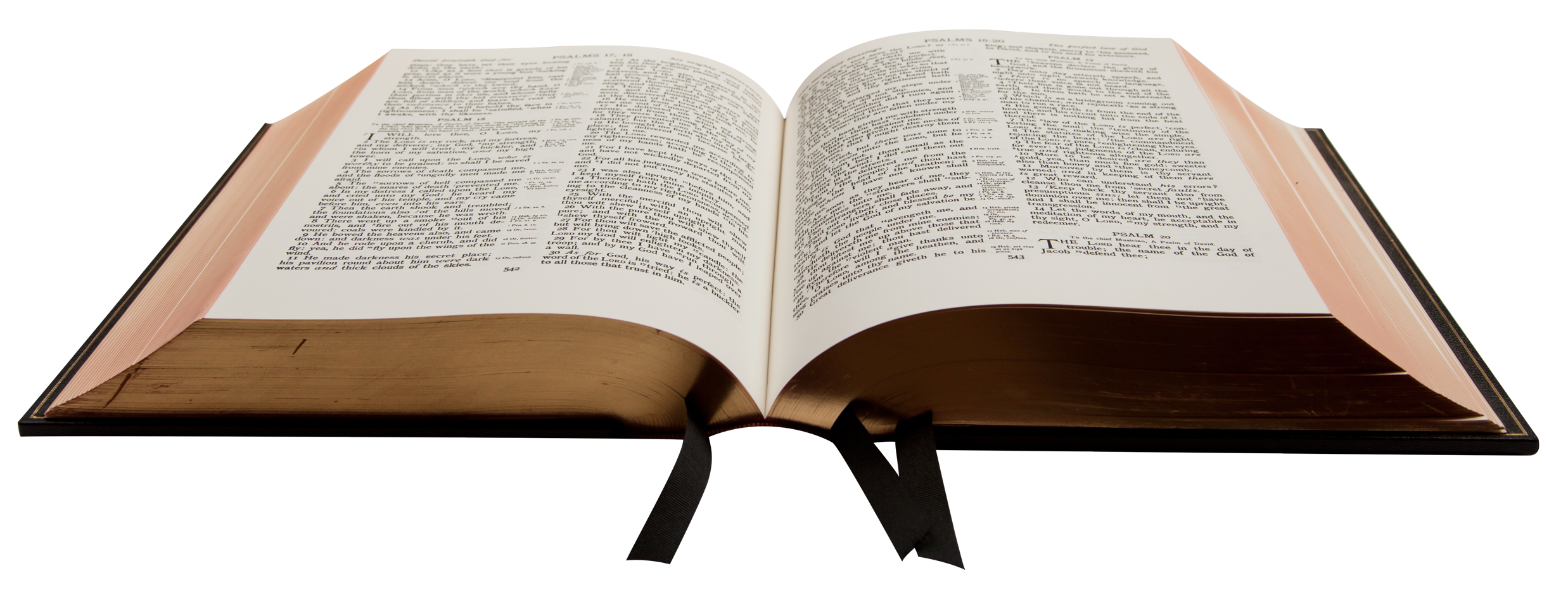 Bible With Ribbon Bookmarks