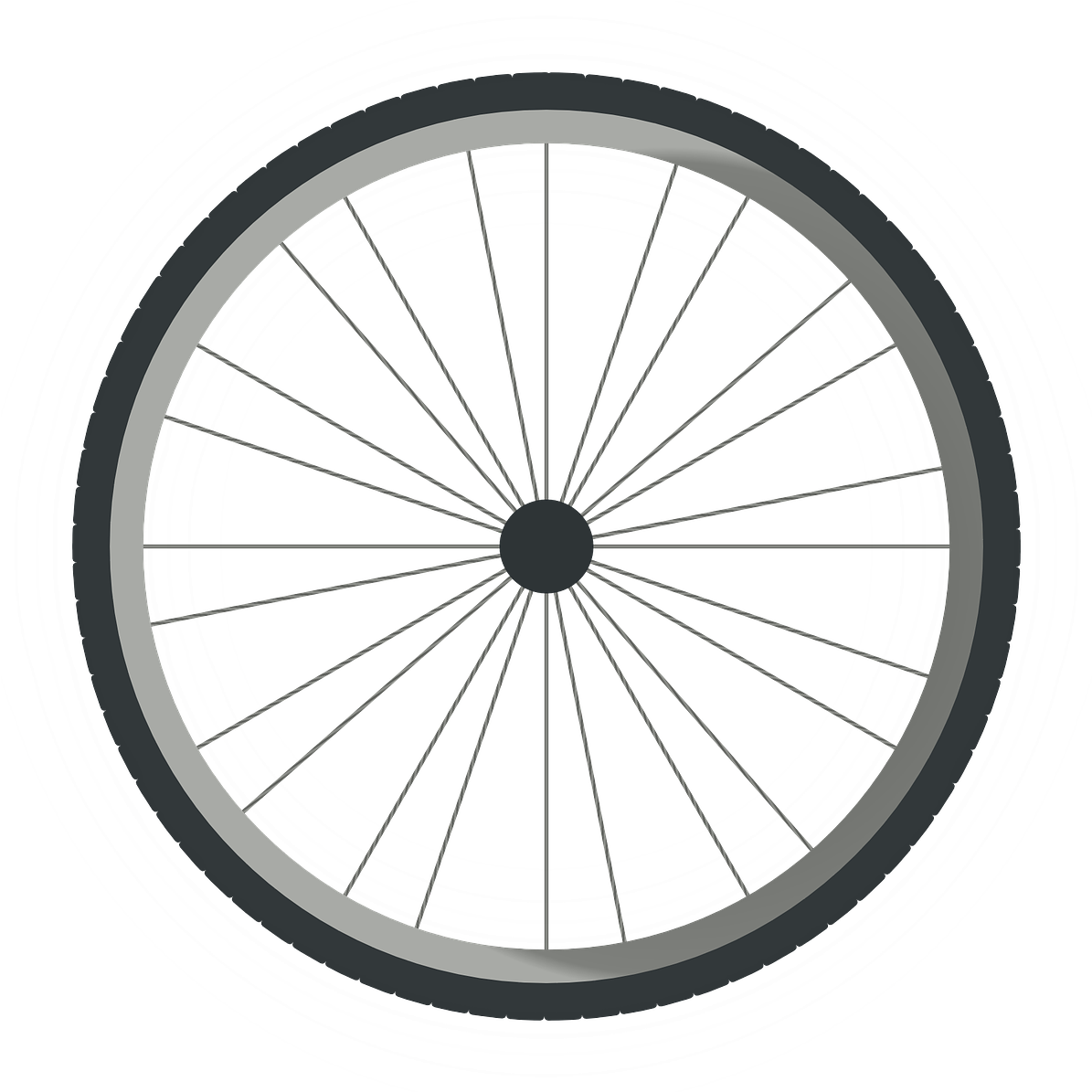 A Bicycle Wheel With Spokes