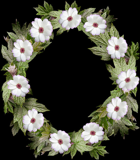 A Wreath Of White Flowers And Green Leaves