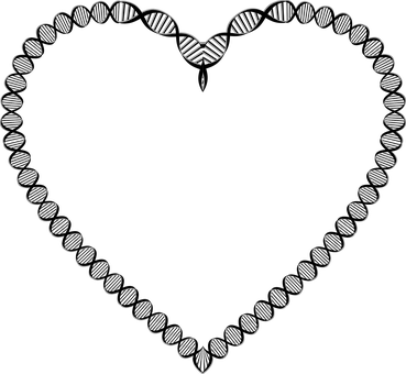 A Heart Made Of Dna