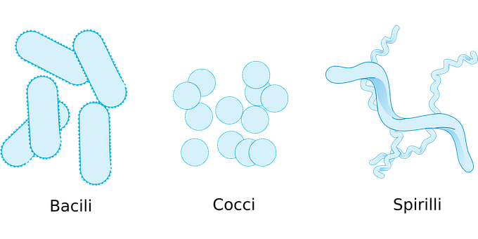 A Group Of White Circles