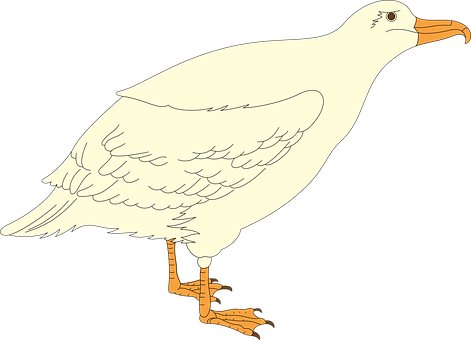 Bird Png 471 X 340