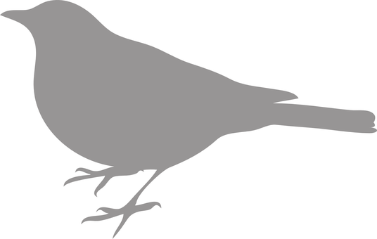 Bird Png 536 X 340