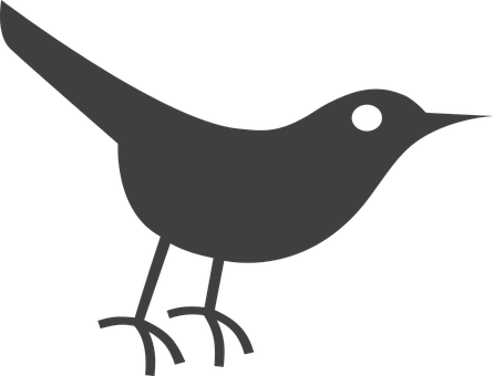 Bird Png 446 X 340