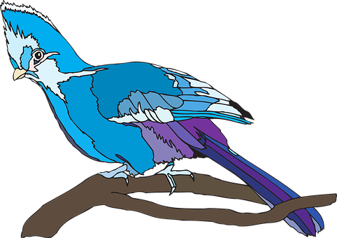 Bird Png 482 X 340