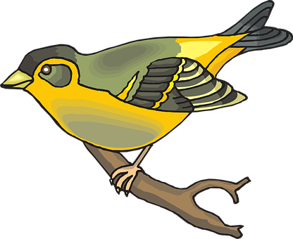 Bird Png 416 X 340