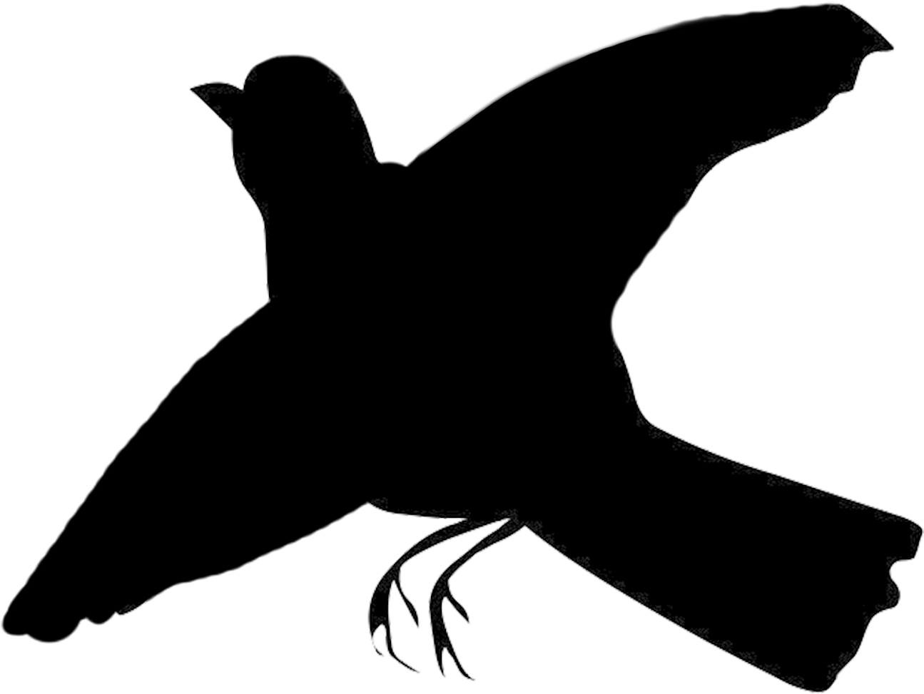 Bird Silhouette Png 1295 X 973