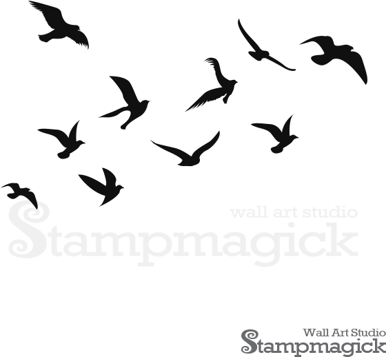 Bird Silhouette Png