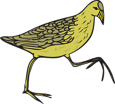 Bird Png 377 X 340