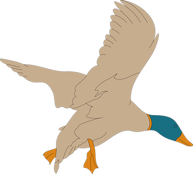 Bird Png 379 X 340