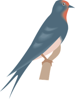 Bird Png 259 X 340