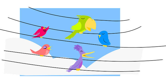 A Group Of Birds On Wires