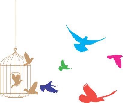 Birds In A Cage
