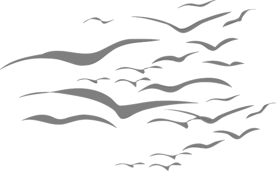 A Group Of Birds Flying In The Sky
