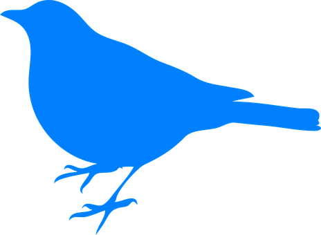 A Blue Bird On A Black Background