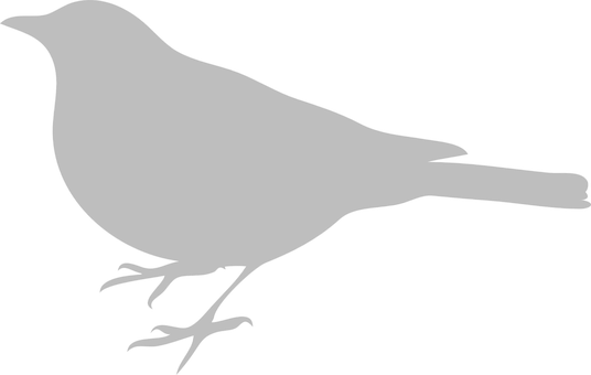 A Bird On A Black Background