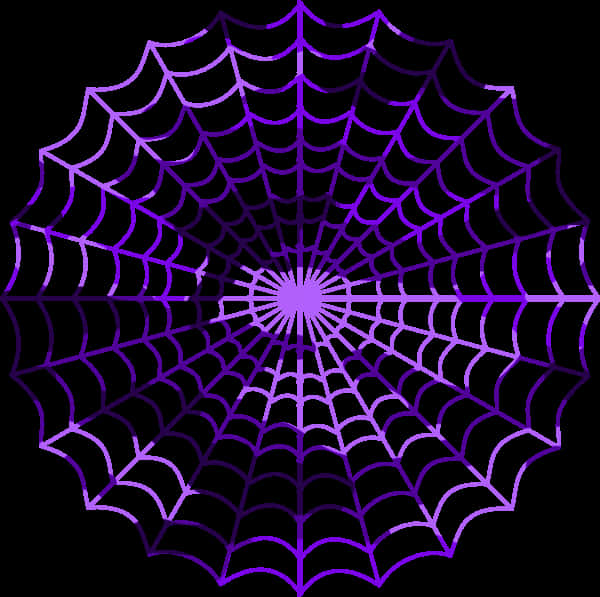 A Purple And White Spider Web
