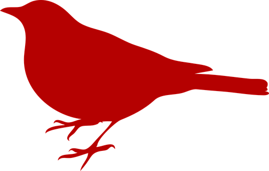 A Red Bird On A Black Background