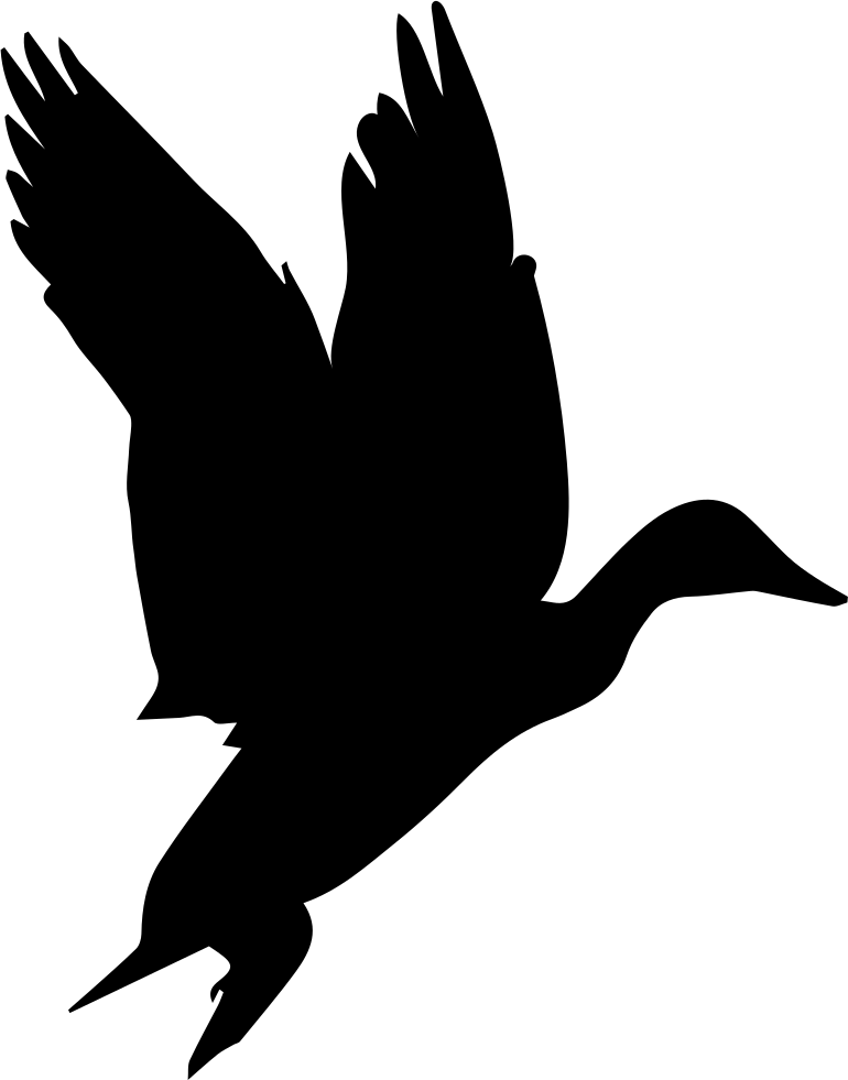 A Silhouette Of A Duck