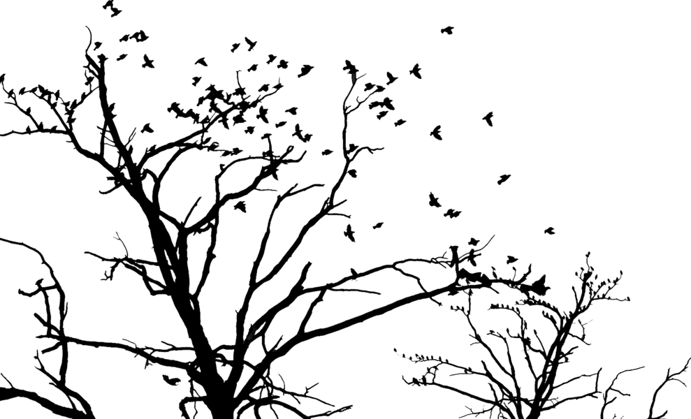 A Black Background With A Tree