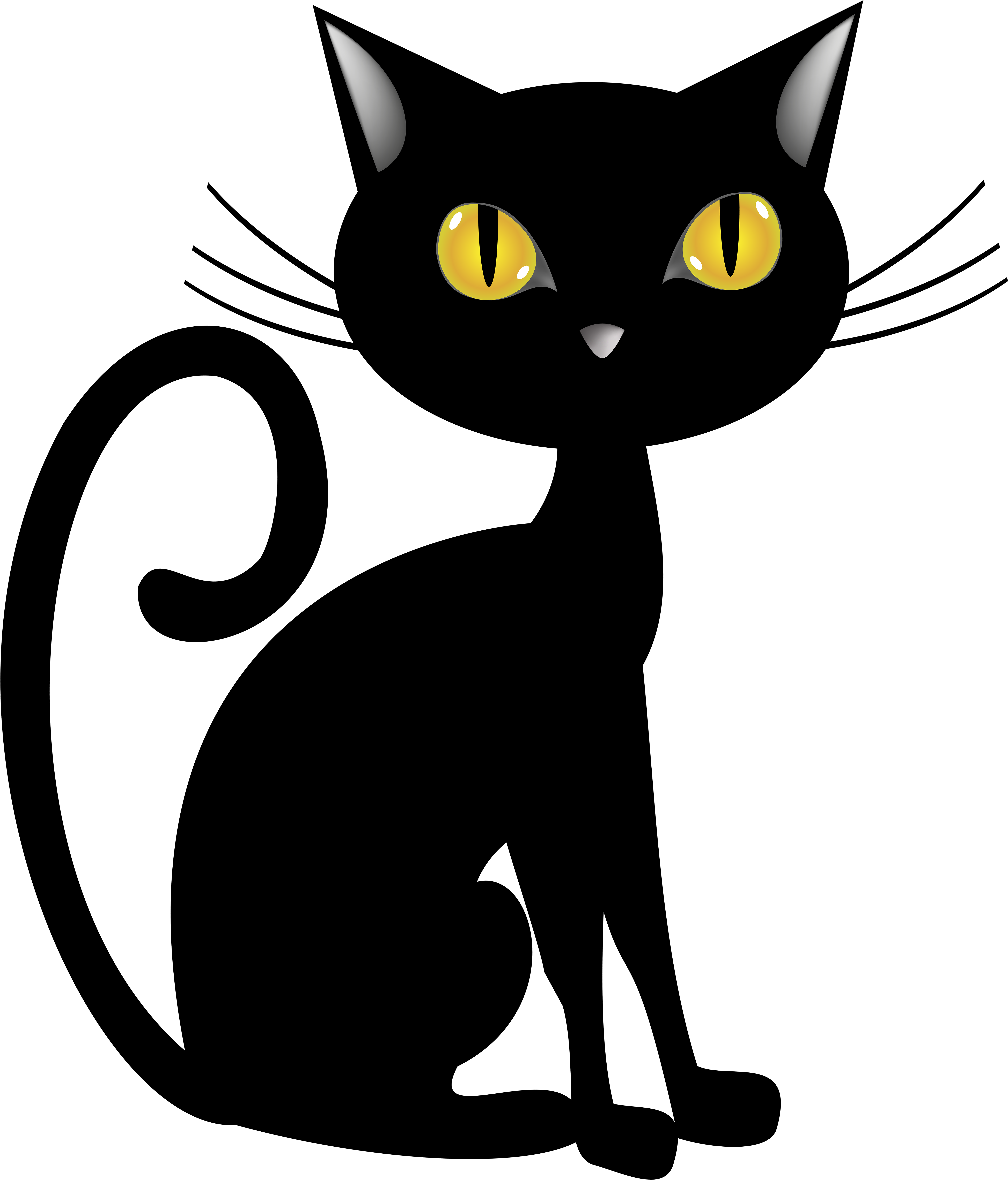 A Cat's Face With Yellow Eyes