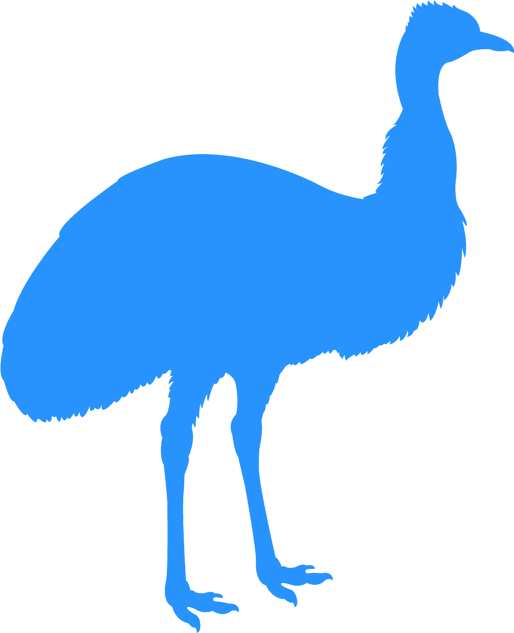 A Blue Bird With Long Legs