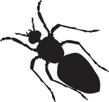 A Black Silhouette Of A Bug