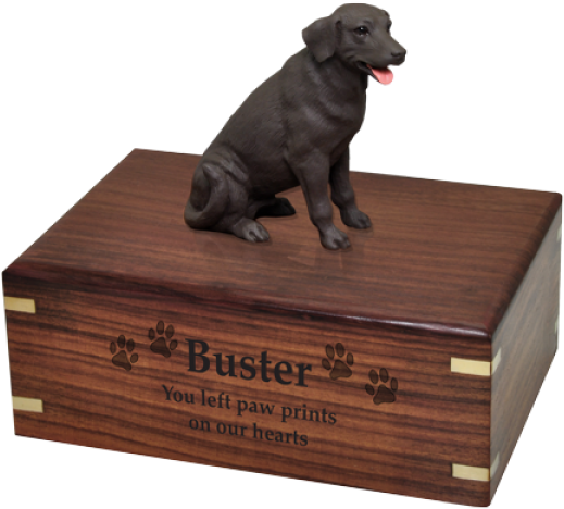 A Dog On A Wooden Box