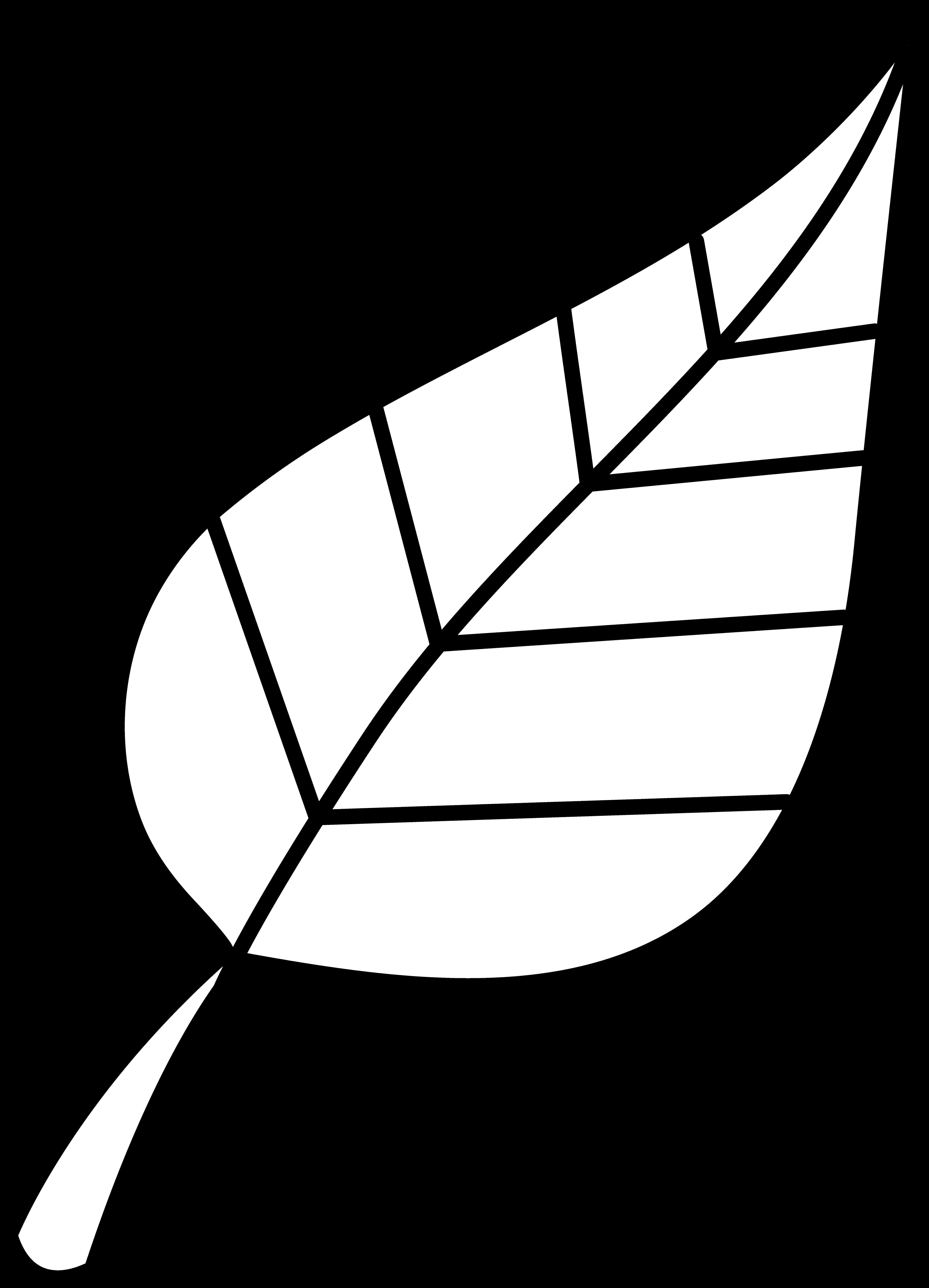 Black Leaf Outline