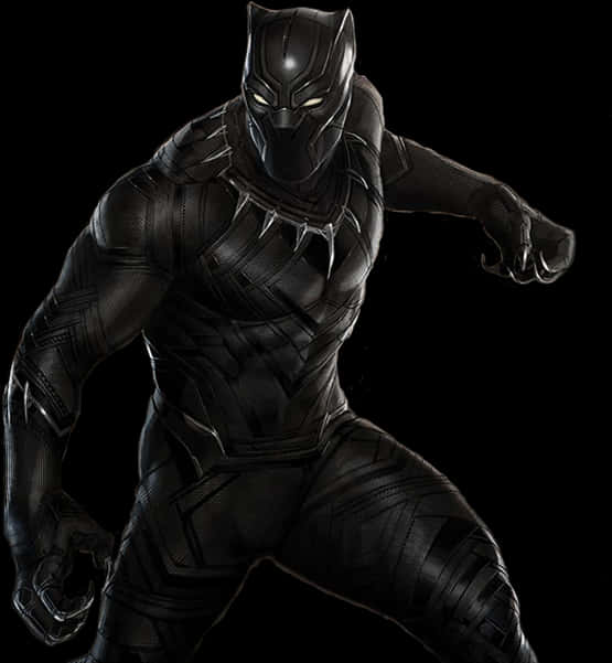 A Man In A Black Panther Garment