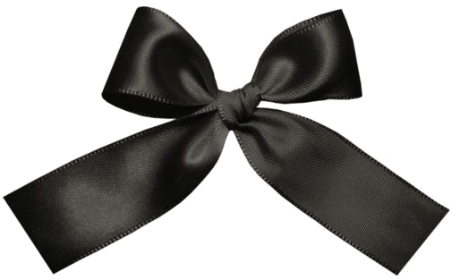A Black Bow With A Knot