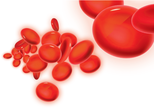 Red Blood Cells In A Blood Vessel